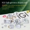 Diamant Éclat Pur et Intemporel avec Certificat IGI GIA 0,5ct 1ct 1,5ct 2ct 3ct 4ct 5ct 6ct 7ct et plus... Diamant HPHT CVD